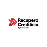 Recupero Crediticio by OSTENGO logo - Similar company to Bircle