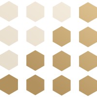 C&S Finance Group logo - Similar company to Markup Valley Tax, Bookkeeping & Accounting (Us, Uk & Australia)