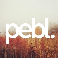 PEBL Design logo - Similar company to Q Builders