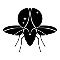 COSMIC FLY logo - Similar company to Iraxxxdios
