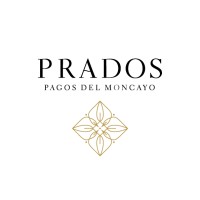 Bodegas Pagos del Moncayo logo - Similar company to Bodem Bodegas