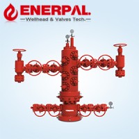 Enerpal-wellhead & valves supplier logo - Similar company to Audeo