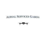 Aerial Services Gabon logo - Similar company to Conseil Économique, Social Et Environnemental - Cesega