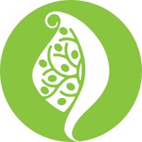 nfsiran logo - Similar company to جاده ، سامانه اعلام بار سراسری