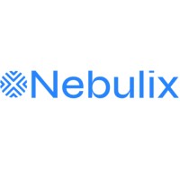 Nebulix logo - Similar company to Crococode