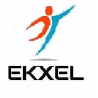 EKXEL IT Services & Financial Engineering logo - Similar company to Microsped, Inc.