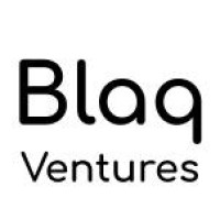 Blaq Ventures logo - Similar company to Zixtech Hub