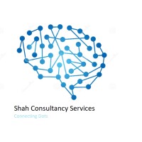 Shah Consultancy Services logo - Similar company to Shah Consultancy