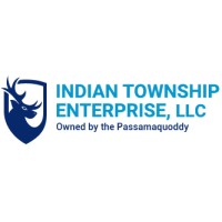 Indian Township Enterprises, LLC logo - Similar company to Es Technosoft