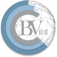 BVint - Business Valuation International Ltd logo - Similar company to Sakhsham Knowledge Services