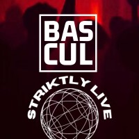 Striktly Live | Bascul logo - Similar company to Minor Am