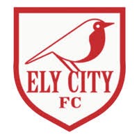 Ely City Football Club logo - Similar company to Cambridge City Football Club Ltd