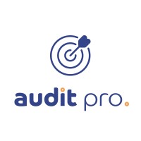 Audit Pro logo - Similar company to Valid+