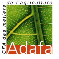 Cfa Adafa