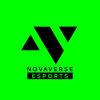 NovaVerse Esports logo - Similar company to Novaverse Groups - Marketings & Creatives