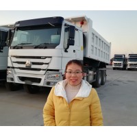 Sino Trucks Asia Co.,Limited logo - Similar company to Micony Group