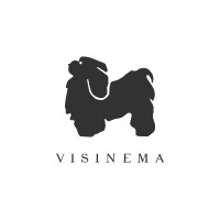 Visinema logo - Similar company to Base Entertainment