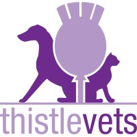 Thistle Vets logo - Similar company to Frame & Swift Limited