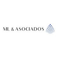 ML & Asociados logo - Similar company to Cg Foreign Trade