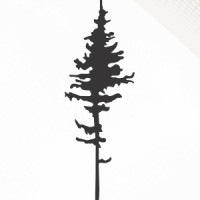 Authentic Visuals Media logo - Similar company to Formwise