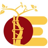Ortopedia España logo - Similar company to Ortopedia Mimas