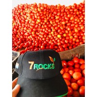 7Rocks Cavalcante Agro logo - Similar company to Medibiosense