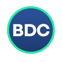 Blue Dot Consulting logo - Similar company to Triple Edge Energy