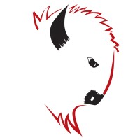 Buffalo'S Mechanical Inc.