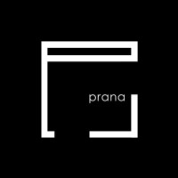Prana Studio logo - Similar company to Pixel Digital Studio
