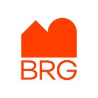 BRG Consulting logo - Similar company to Brg Consultancy