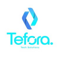 Tefora Software Solution logo - Similar company to Ezato