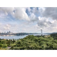 Food ingredients logo - Similar company to .