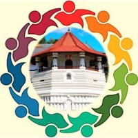 Born in Kandy logo - Similar company to Ux Sri Lanka