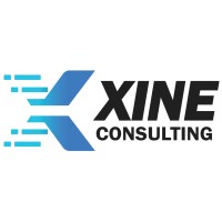 Xine Consulting logo - Similar company to Agi Systems