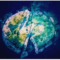 Creative Batik Art Studio & Workshop logo - Similar company to Saal Batik Décor