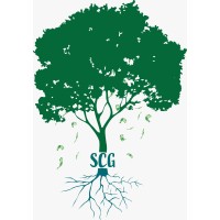 Sycamore Capital Group Inc logo - Similar company to Riverpoint Capital