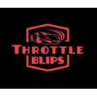 Throttle Blips Media LLP logo - Similar company to Autorounders Technology Private Limited