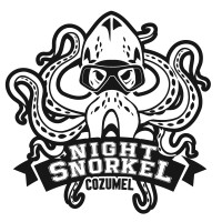 Night Snorkel Cozumel logo - Similar company to Petrofilmes