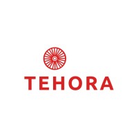 TEHORA inc. logo - Similar company to Services Sft