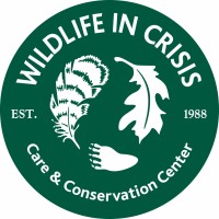 WILDLIFE IN CRISIS INC logo - Similar company to Mgeoi Internship Project