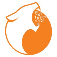 Digital Roar logo - Similar company to Digitalrooar