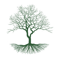 Buitenplaats de Burgwal logo - Similar company to Nieuw Mos