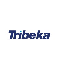 Tribeka Ltd logo - Similar company to T
