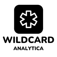 Wildcard Analytica logo - Similar company to Magic Elements Studios Private Limited