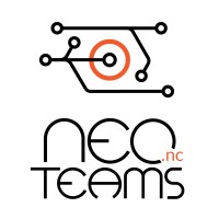 NEOTEAMS NC logo - Similar company to Neoteams.Io