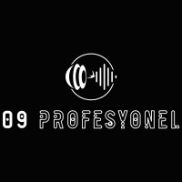 09 Profesyonel logo - Similar company to Csk Architects