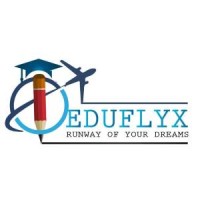 Eduflyx Immigration & Educational Advisory Services logo - Similar company to Vs Overseas Advisors
