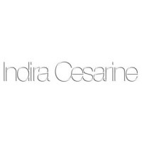 Indira Cesarine Studio logo - Similar company to Untitled Magazine