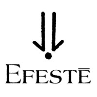 EFESTĒ logo - Similar company to Taylor Development, Inc.
