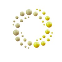 Chase Virtual Solutions Ltd logo - Similar company to Chase Solutions